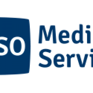 Logo - MSO
